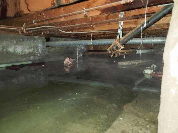 Best Emergency water damage restoration  in Tracyton, WA