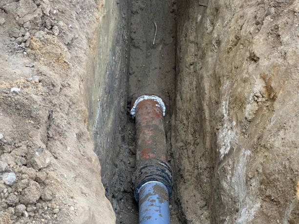 Best Professional water damage repair  in Tracyton, WA