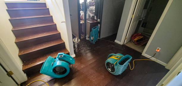 Best Mold removal after water damage  in Tracyton, WA