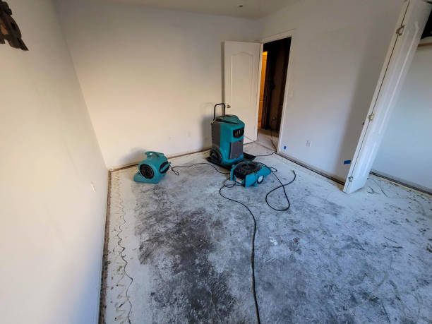Best 24-hour water damage restoration  in Tracyton, WA
