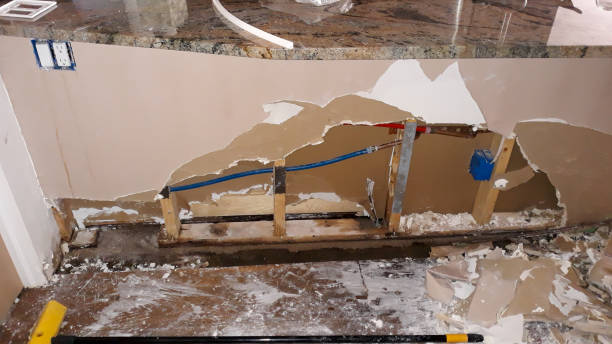 Best Ceiling water damage repair  in Tracyton, WA