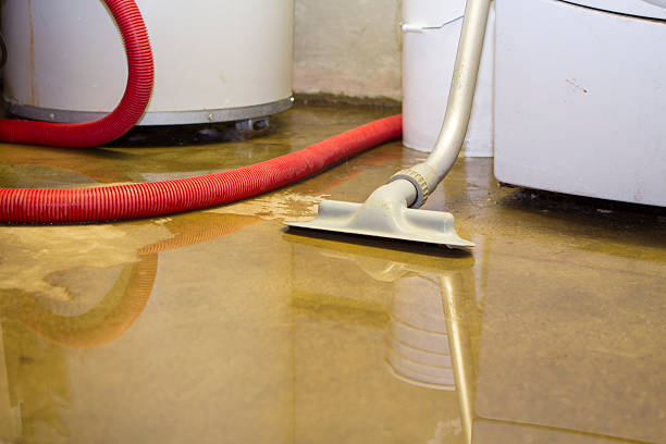 Best Flooded house restoration  in Tracyton, WA