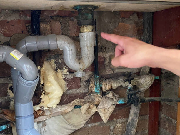 Best Water damage repair service  in Tracyton, WA