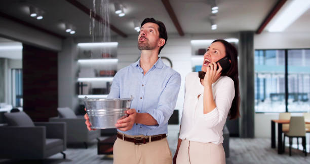 Best Basement water damage restoration  in Tracyton, WA